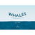 Whales: An Illustrated Celebration Eleish Van Breems Home